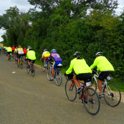 Cycling Wind & Rain Jacket